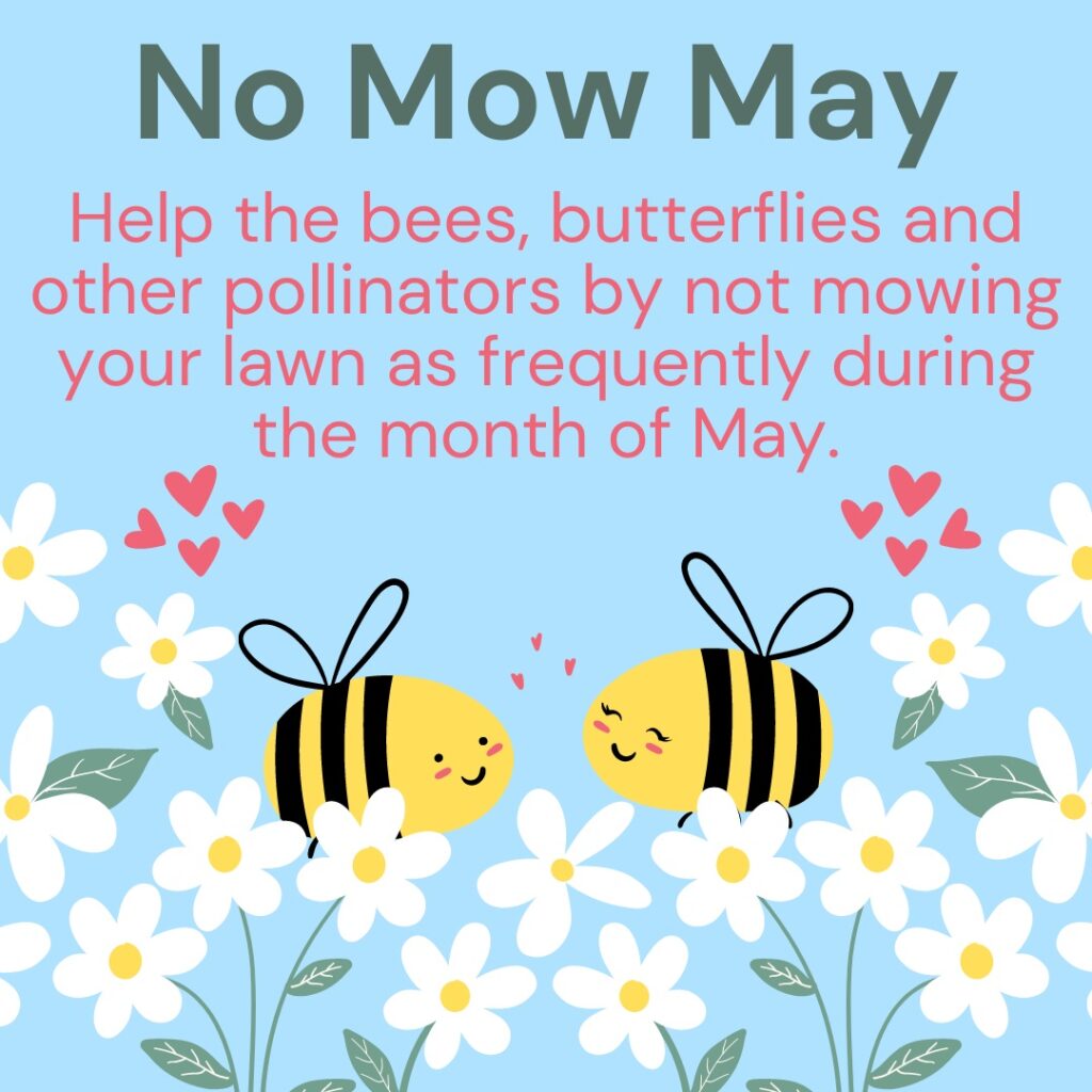 Picture of bees among flowers with a brief message on No Mow May
