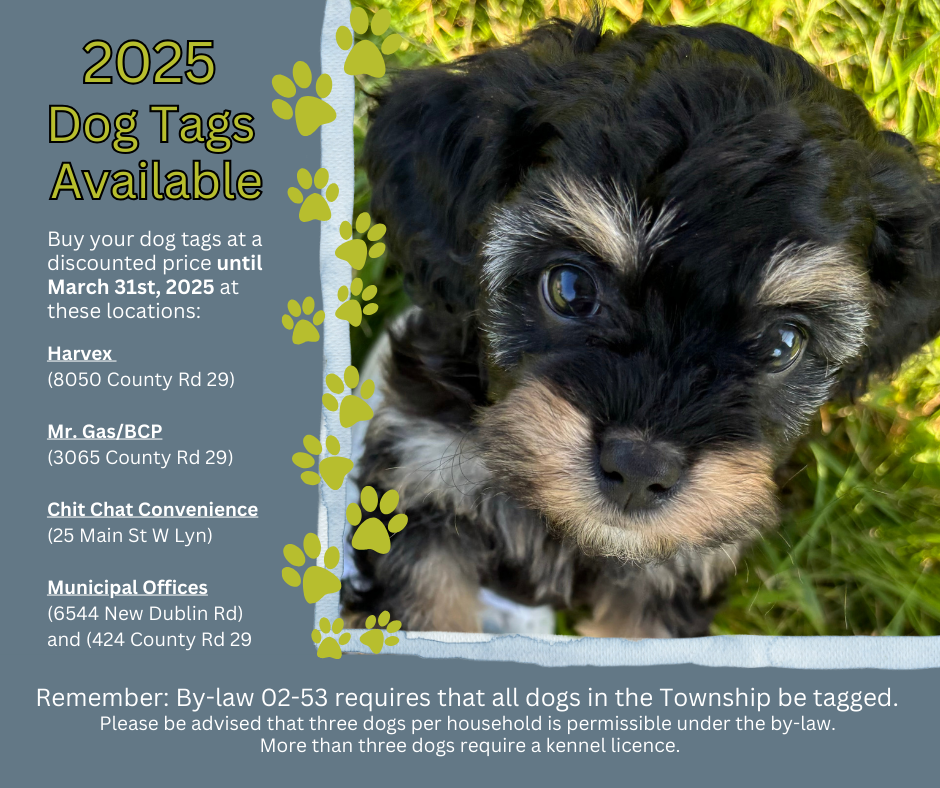 Buy your Dog tags at a discounted price until March 31st, 2025 at these locations:· Harvex (8050 County Rd 29) · Mr. Gas/BCP (3065 County Rd 29) · Chit Chat Convenience (25 Main St W Lyn) · Municipal Offices (6544 New Dublin Rd) and (424 County Rd 29) Remember: By-law 02-53 requires that all dogs in the Township be tagged. Please be advised that three dogs per household is permissible under the by-law. More than three dogs require a kennel license.